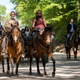 The Walking Dead is on the move.